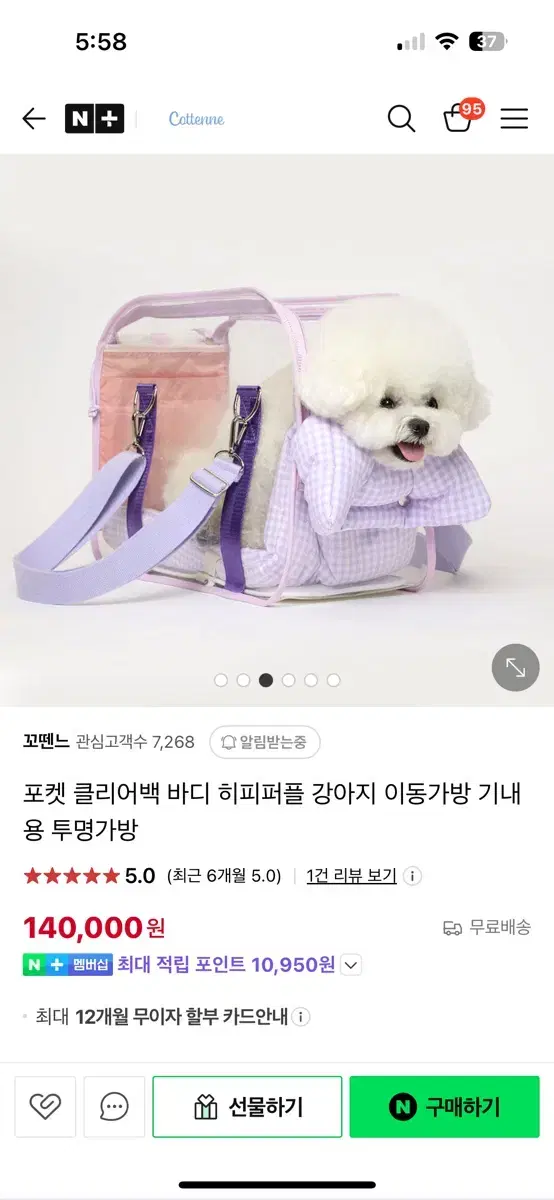 꼬뗀느 원오브어스 클리어백 쿠션포함 애견이동가방